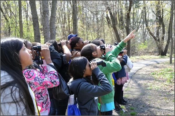 A group of children with binoculars watching birds.
